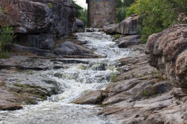 Derin ormandaki yabani Nehri