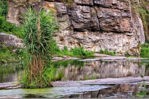 Rio selvagem na floresta profunda — Fotografia de Stock