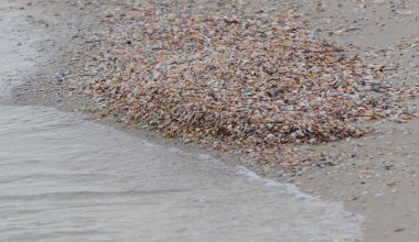 Güzel turkuaz deniz ve vahşi bir plaj