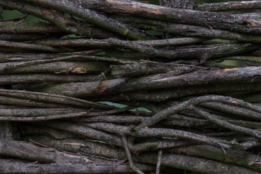 ahşap arkaplan veya doku