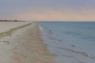 Güzel turkuaz deniz ve vahşi bir plaj