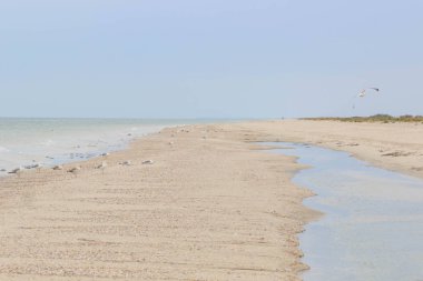 Güzel turkuaz deniz ve vahşi bir plaj
