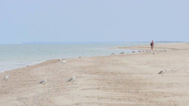 Güzel turkuaz deniz ve vahşi bir plaj