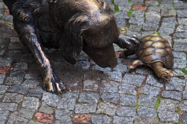 Gorki Park Kharkiv köpek ile kaplumbağa