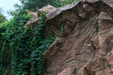 Taş duvar dokusu arkaplanı