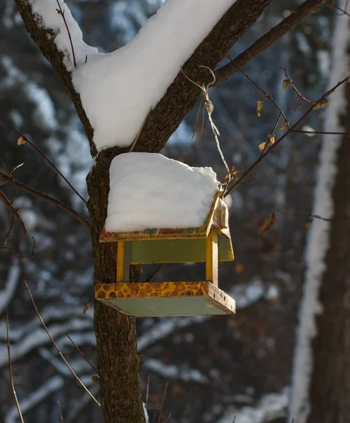 Titmouse cerca del alimentador en un parque de invierno — Foto de Stock