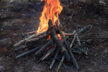 Ormanda şenlik ateşi