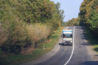 Otomobil asfalt yolda sonbahar gününde parkta