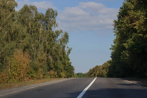 Samochód na asfaltowej drodze na jesieni w parku — Zdjęcie stockowe