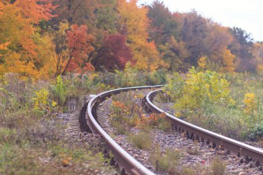 Tren veya tramvay izlemek güzel bir sonbahar park sisin içinde. nem, parlak sıcak sonbahar renkleri