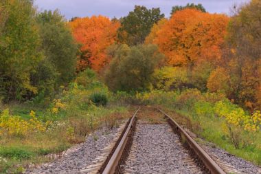 Tren veya tramvay izlemek güzel bir sonbahar park sisin içinde. nem, parlak sıcak sonbahar renkleri