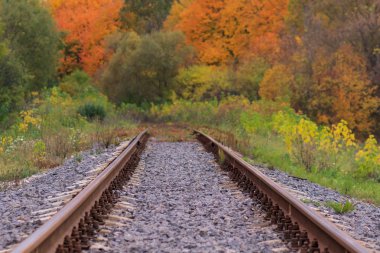 Tren veya tramvay izlemek güzel bir sonbahar park sisin içinde. nem, parlak sıcak sonbahar renkleri