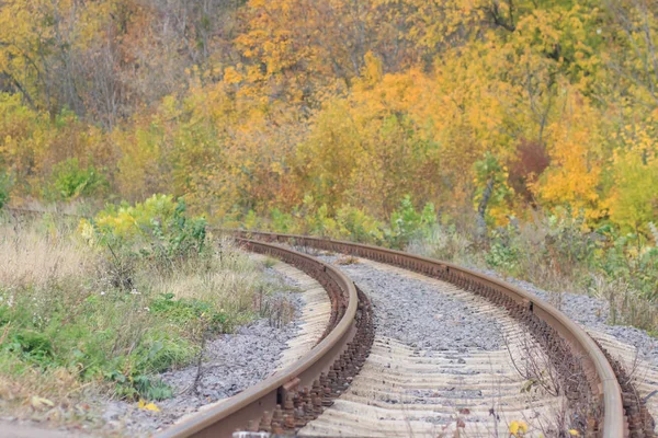 Spoor- en tramwegen bijhouden in een mooie herfst park mist. vochtigheid, heldere warme herfst kleuren — Stockfoto