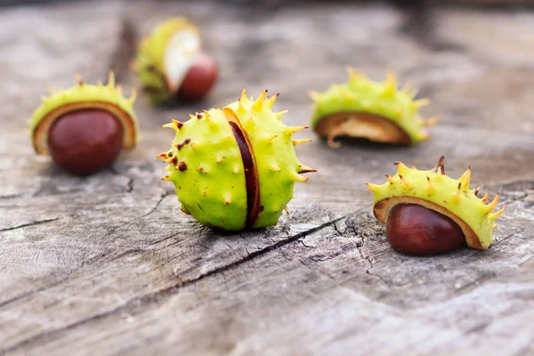 Frische Kastanien auf Herbstblättern im Hintergrund — Stockfoto