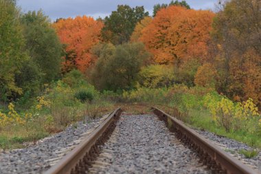 Tren veya tramvay izlemek güzel bir sonbahar park sisin içinde. nem, parlak sıcak sonbahar renkleri