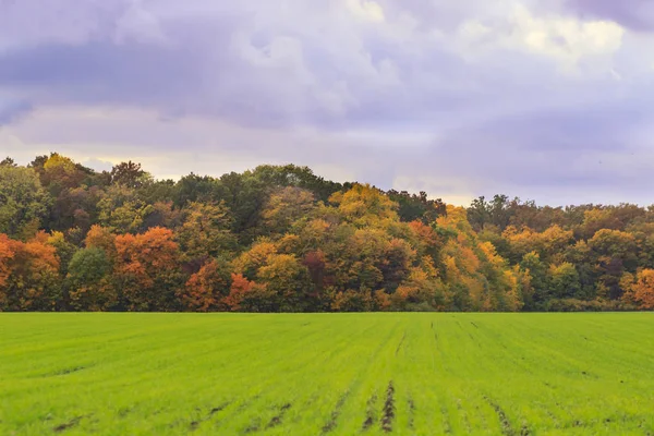 Sonbahar manzara. Renkli sonbahar