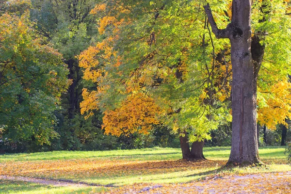 Paisaje otoñal. Colorido otoño —  Fotos de Stock