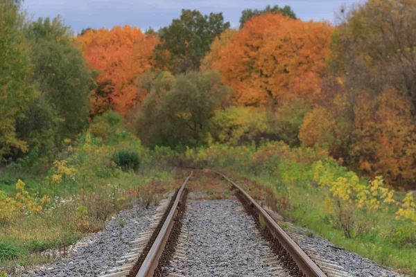 Spoor- en tramwegen bijhouden in een mooie herfst park mist. vochtigheid, heldere warme herfst kleuren — Stockfoto