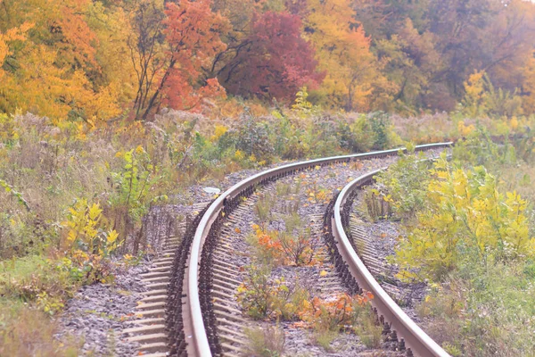 Spoor- en tramwegen bijhouden in een mooie herfst park mist. vochtigheid, heldere warme herfst kleuren — Stockfoto