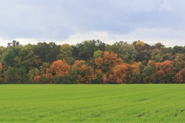 Sonbahar manzara. Renkli sonbahar