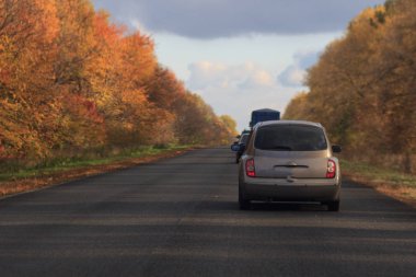 sonbahar manzara içinde yol
