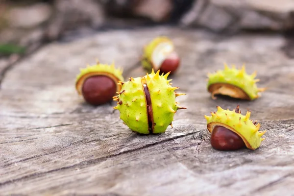 Frische Kastanien auf Herbstblättern im Hintergrund — Stockfoto