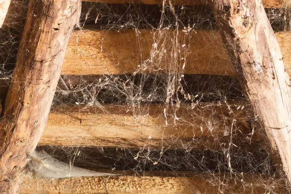 Çatı katında ev, benzersiz bir süre, bir örümcek web