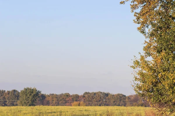 Sonbahar manzara. Renkli sonbahar