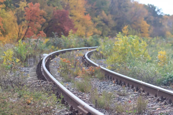 Vasúti vagy villamos vasúti pálya a park gyönyörű őszi ködben. nedvesség, világos, meleg, őszi színek — Stock Fotó