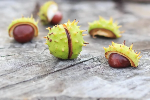 Frische Kastanien auf Herbstblättern im Hintergrund — Stockfoto