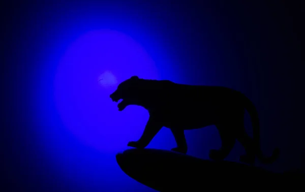 Silhouettes of animals on blue background — Stock Photo, Image