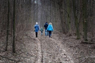 Bahar Park peyzaj. Orman bahar