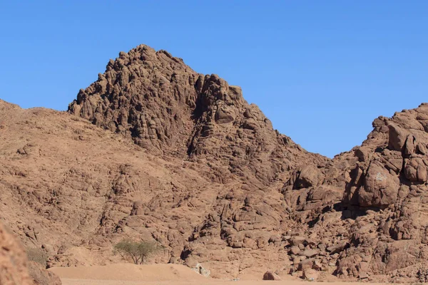 Valle Nel Deserto Del Sinai Con Montagne — Foto Stock