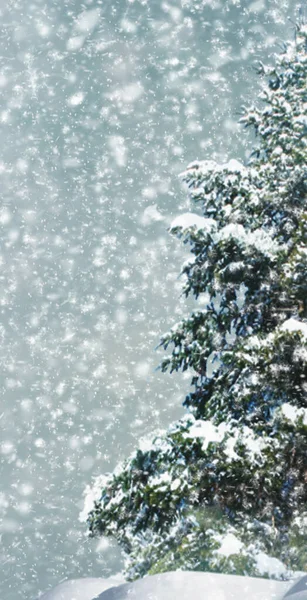 Parlak kar ve tipiden oluşan soyut bir Noel arkaplanı. Mesaj için yer var. Hikayeler için dikey — Stok fotoğraf