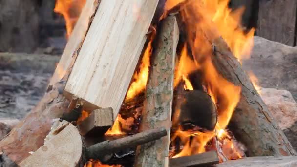 Bonfire brandende bomen 's nachts. Grote oranje vlam geïsoleerd op een zwarte achtergrond. Vuur op zwart. Helder, hitte, licht, kamperen, groot kampvuur — Stockvideo