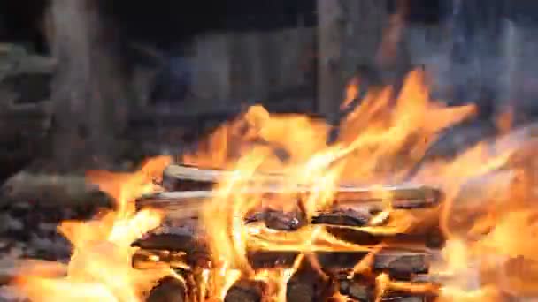 Feuer brennt Bäume in der Nacht. Große orangefarbene Flamme isoliert auf schwarzem Hintergrund. Feuer auf schwarz. Hell, Hitze, Licht, Zelten, großes Lagerfeuer — Stockvideo