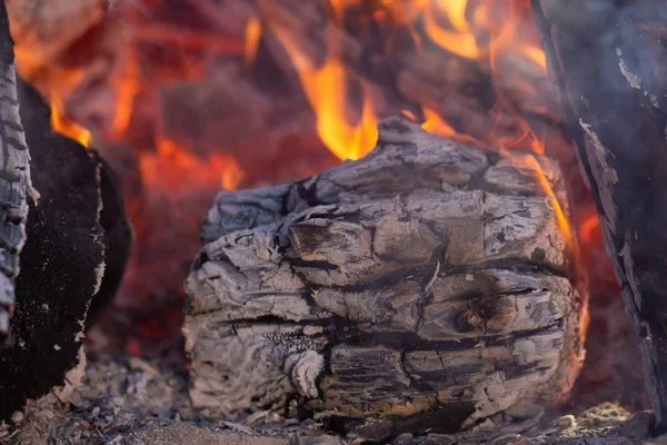 Legni di fuoco e carbone caldo in una griglia — Foto Stock