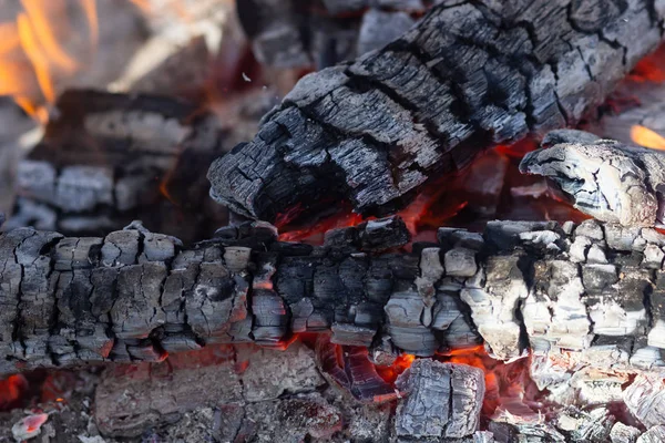 Горячие леса и горячий уголь в гриле — стоковое фото