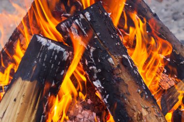 Şenlik ateşi, kamp ateşi. Yanan alevi söndür