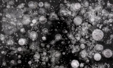 Baykal Gölü 'nün baloncuklu buz dokusu