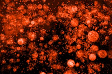 Bol lav soyut zarif simli parçacıklar su altında sığ bir alan derinliği ile akıyor. Kırmızı ve altın sarısı tatil sihirli parıldayan lüks arka plan.