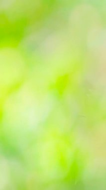 soyut yay arkaplanı dikey wiev