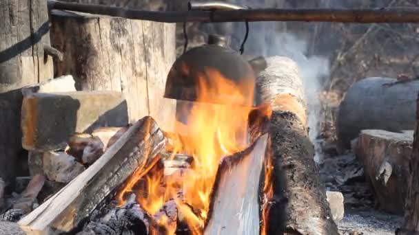 Oude theepot kookt op kampvuren — Stockvideo
