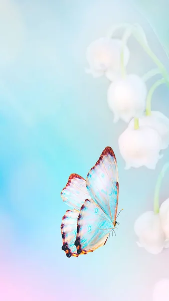 蝶の飛行はライトの光線 — ストック写真