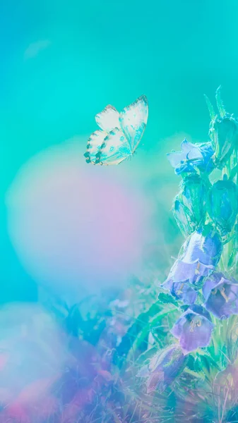 Borboleta na grama em um prado à noite no luar brilhante na natureza em tons azuis e roxos, macro. Fabulosa imagem artística mágica de um sonho , — Fotografia de Stock