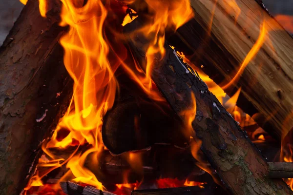 Tábortűz ég éjjel. Nagy narancssárga láng, fekete háttérrel. Tűz a feketére. Fényes, meleg, fény, kemping, nagy tábortűz — Stock Fotó