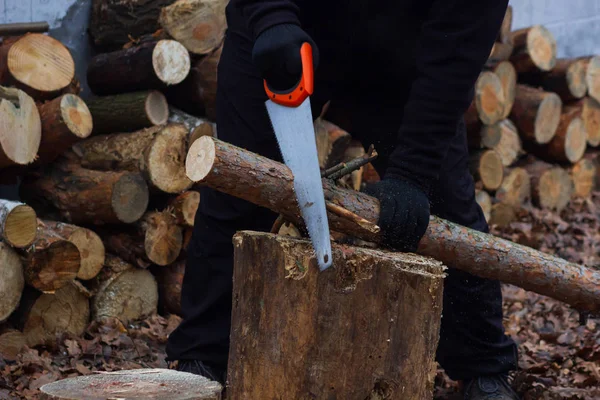 Homme sciant du bois pour le feu de camp dans la forêt. Scie à gros plan et bûcheron coupant les arbres à la main à l'extérieur . — Photo