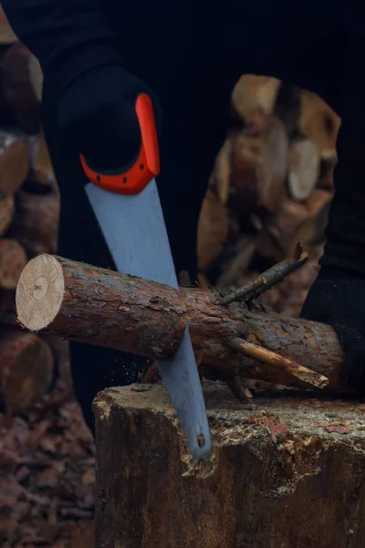Man sawing wood for campfire in the forest. Close-up saw and lumberjack hand cutting trees outdoors. — 스톡 사진