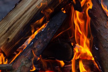 Bonfire. Orange flame of a fire. Burning birch tree in the fireplace. Bonfire on the grill with smoke. Arson or natural disaster. Bonfire close.. Bonfire background.