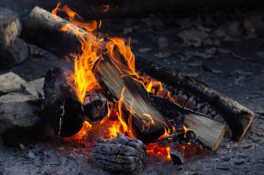 A fire burns in a campfire, Fire to keep warm.